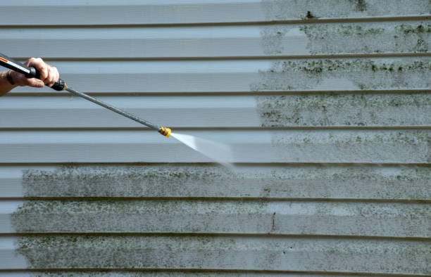 Best Best Pressure Washing Companies  in Utica, IN